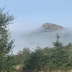 Rosetopping hill