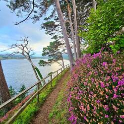 Nice trail near the AbnB