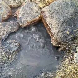 Nicht zum Baden geeignet!