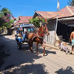 Fortbewegung auf Gili Air