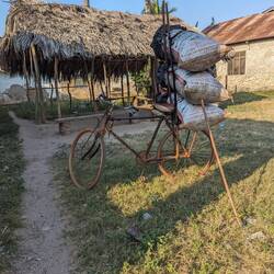 Bike w 3 large bags of stick charcoal