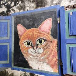 C'est mieux les chats, non?