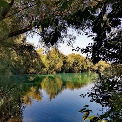 Refreshment welcome?