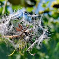 Late summer impression!