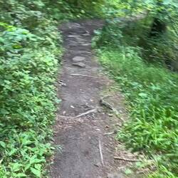 Ein stück Weg, der gut gehbar war.