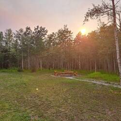 Die (heute nicht genutzte) Feuerstelle vorm Wald.
