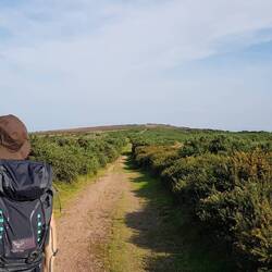 Zurück nach Minehead...zum Glück waren wir gestärkt🍦