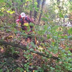 Wir durften auch viel klettern!