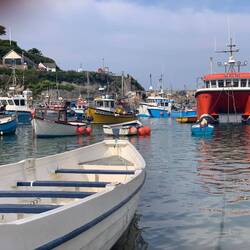 The Harbour close up