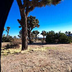 Blick aus dem Zelt nach dem Aufstehen.