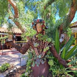 Mutter Natur unter dem Pfefferbaum