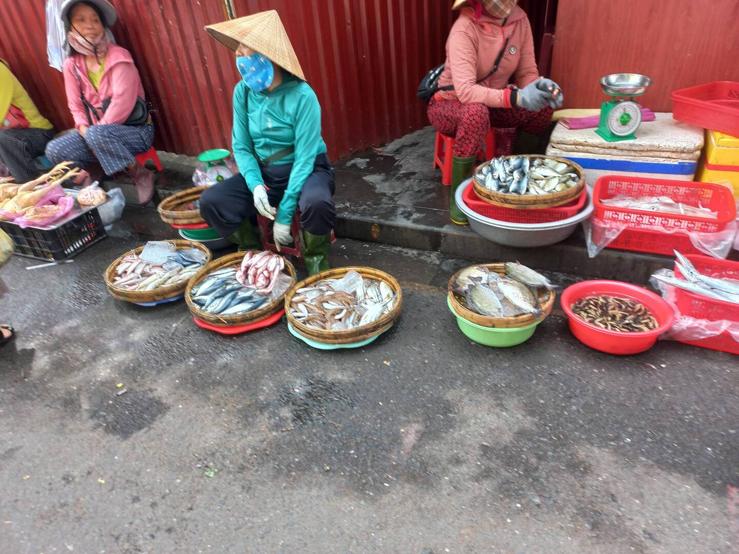 Frischer Fisch