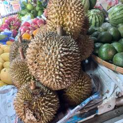 Das ist die Stinkfrucht. Stinkt bestialisch, schmeckt paradisisch!