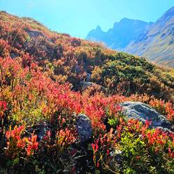 Nature's palette of reds and blues