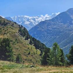 Closer view of glacier at end of trail