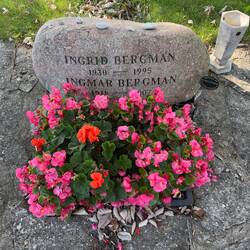Grab von Ingrid und Ingmar Bergman auf dem Friedhof im Ort Fårö 500m vom Museum entfernt