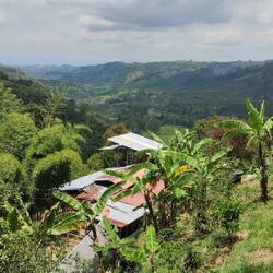 Die Kaffeefarm von Don Eduardo