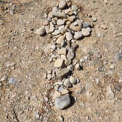 Not all the arrows are yellow.