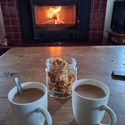 Reënerig en koud... ons geniet heerlike bos TV