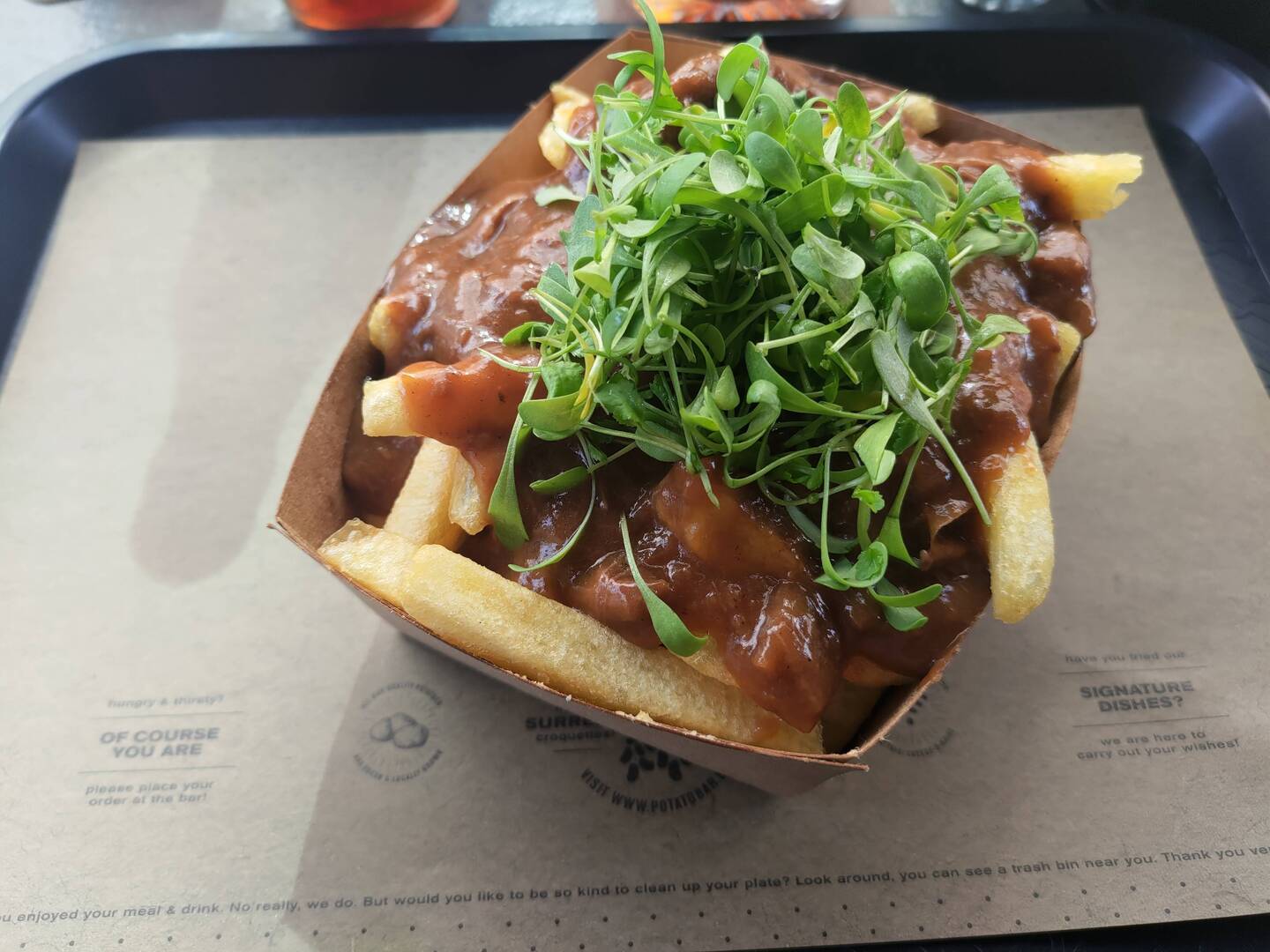 Patatine con salsa di manzo alla birra belga