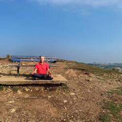 Pausing & meditating . . . I think