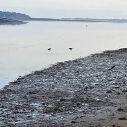 Duck River, Smithton, photo captured by Phil