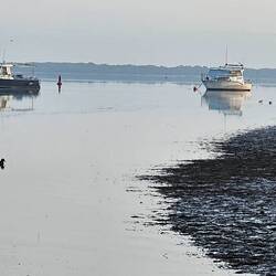 Duck River, Smithton, photo captured by Phil