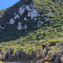 Rocky Cape