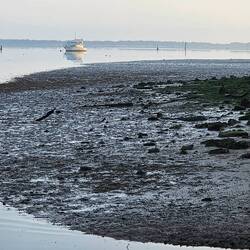 Duck River, Smithton, photo captured by Phil