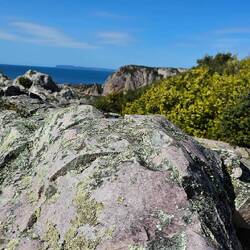 Beautiful Pink Colouration in rock