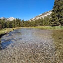 Evolution Creek