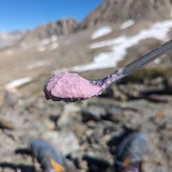 Hiker box wins! Mixed berry yogurt