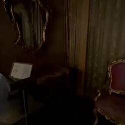 Venetian room donated to the Met