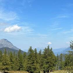 View from bovine farm (1987m) Switzerland