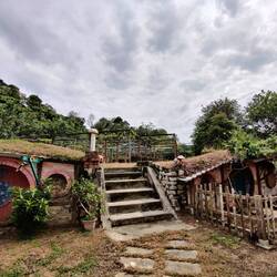 Hobbiton in the middle of a Tropical Fruit Farm