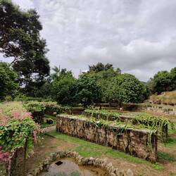 Tropical Fruit Farm (a dragon fruit in the back)
