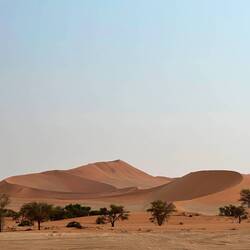 Die Dünen von Sossusvlei! Weltklasse!