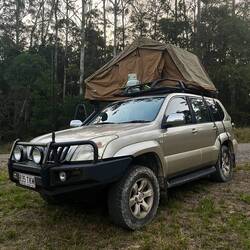Erster Schlafplatz Irgendwo im Wald in der Nähe von Sunshine Coast