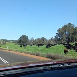On the road to Nannup