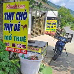 Vorsicht vor dem gekochten Hund. Wir meiden Restaurants, die Thit Cho verkaufen.