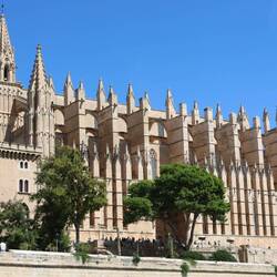Die Kathedrale, das Wahrzeichen von Palma
