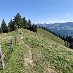 Wunderbare Kammpfade!