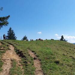 Und überall liegen Kühe auf dem Weg!🙂