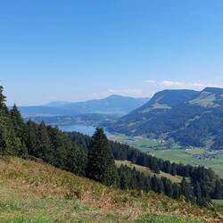 Immer wieder schöne Blicke....