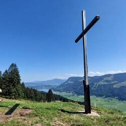 ...auf den Großen Alpsee!