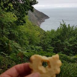 Teatime! Ohne Tee, nur mit Keks.