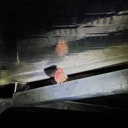 Im Auto ist es schön warm.