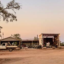 Bullara Station, eine funktionierende Farm