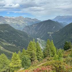 TMB towards Col de Balme Switzerland