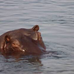 Bombastic side eye 👀